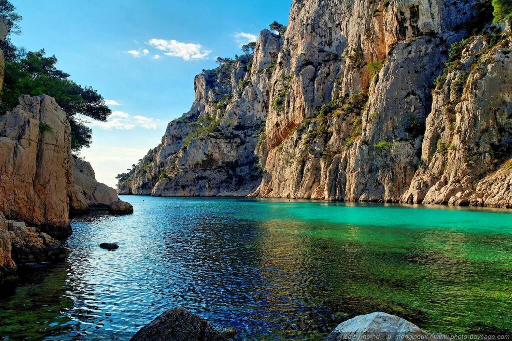 La Savinienne De Cassis- 5Mn Port Plage Face Mer エクステリア 写真